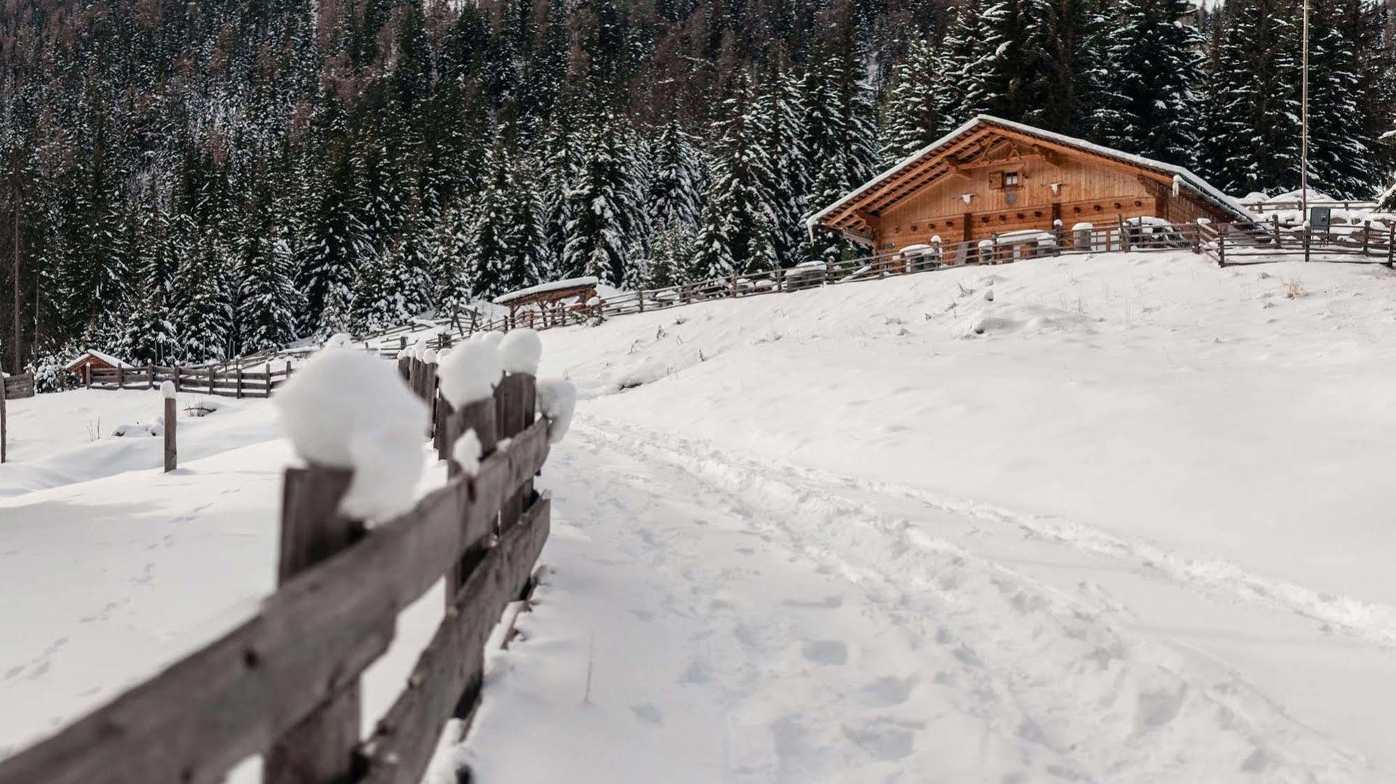 La Casies Mountain Hotel Santa Maddalena in Casies Exterior photo